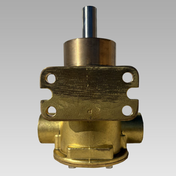 Pompa acqua mare con supporto PM 36 S