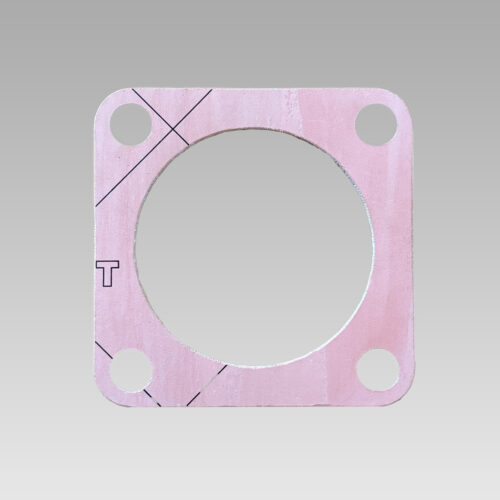 Guarnizione pompa acqua mare