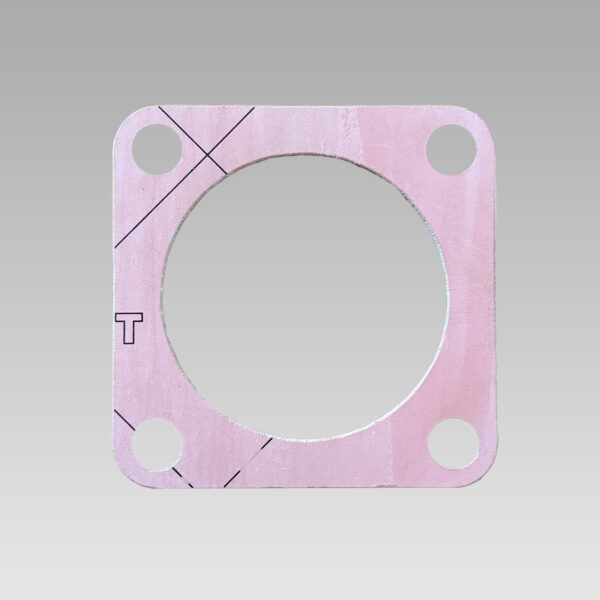 Guarnizione pompa acqua mare