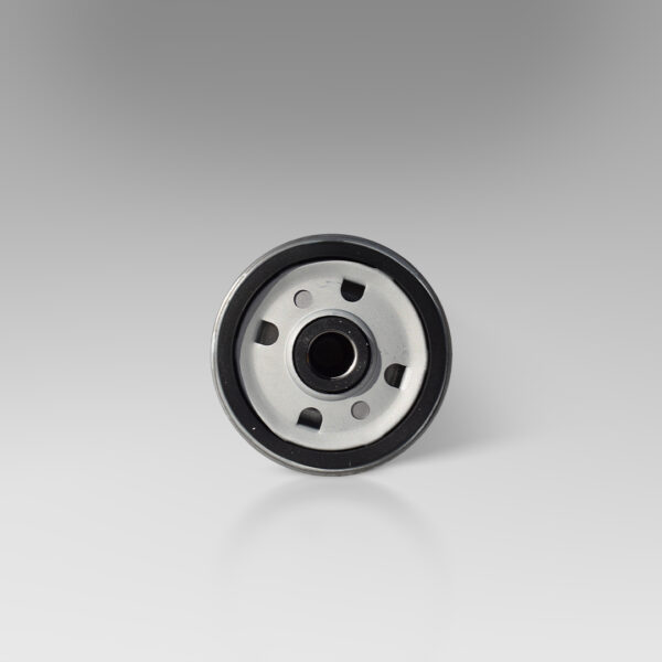 Filtro nafta per motori meccanici BONI/AGCO